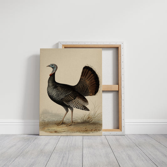 Regal Wild Turkey: Portrait of American Heritage