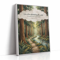 Like a Tree Planted by the Water: Redwood Forest Stream