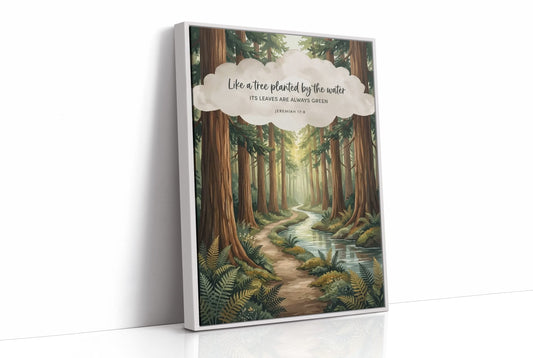Like a Tree Planted by the Water: Redwood Forest Stream