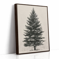 Lone Spruce in Snowfall