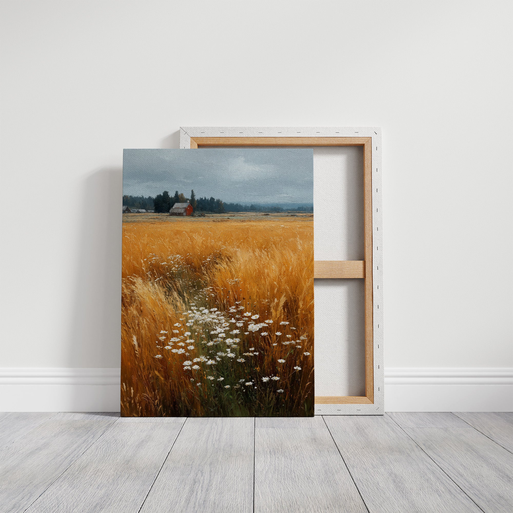 Daisies Break the Wheat