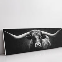 Black and White Longhorn Portrait on Dark Background