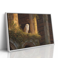 Keeper Of Ancient Library Secrets