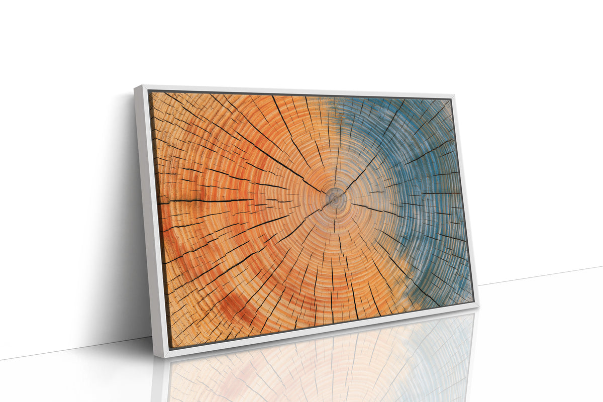 Tree Rings in Two Tones