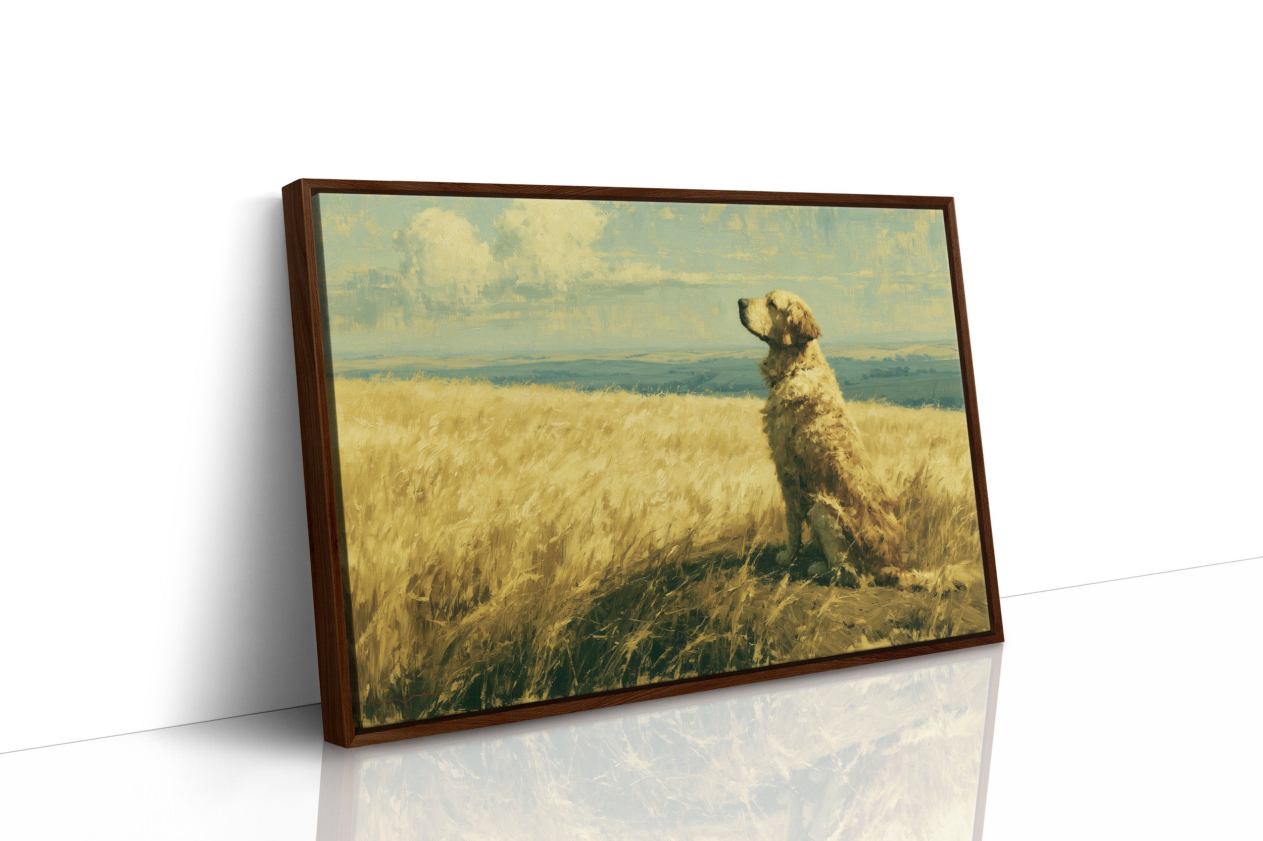 Golden Retriever, Golden Fields