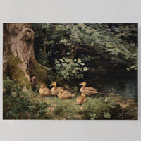 Ducks Rest By Ancient Oak Waters