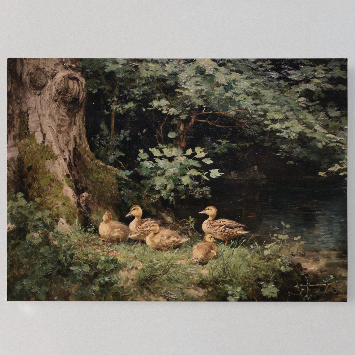 Ducks Rest By Ancient Oak Waters