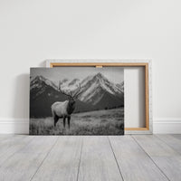 Crown of the Wilderness