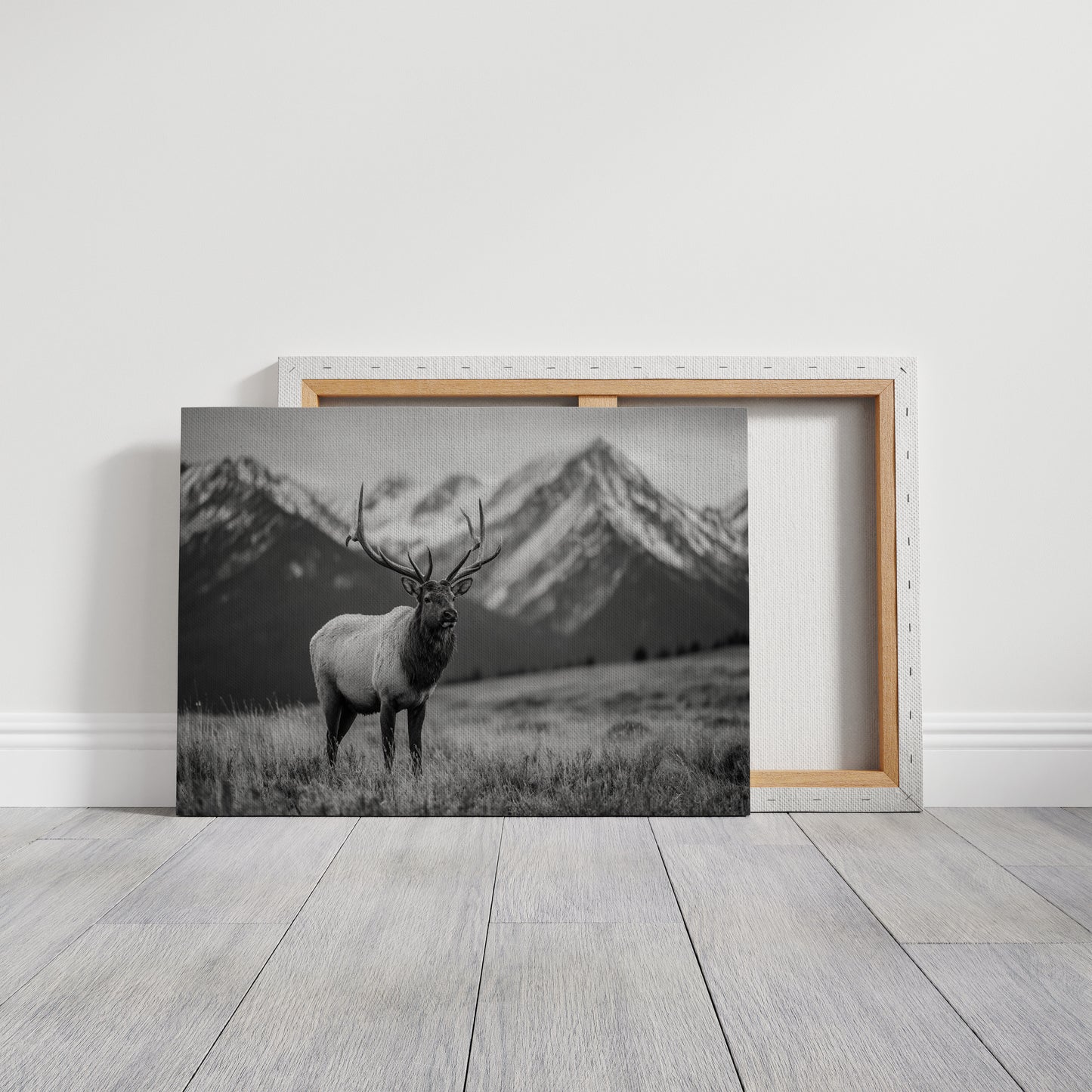 Crown of the Wilderness