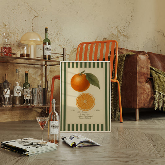 Vintage Orange Slice Botanical Study