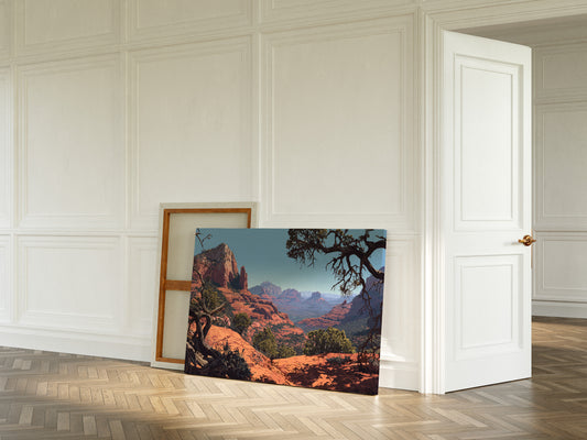 Twisted Juniper Frames Desert Peaks