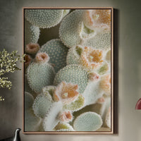 Soft Bloom on Fuzzy Desert Cactus