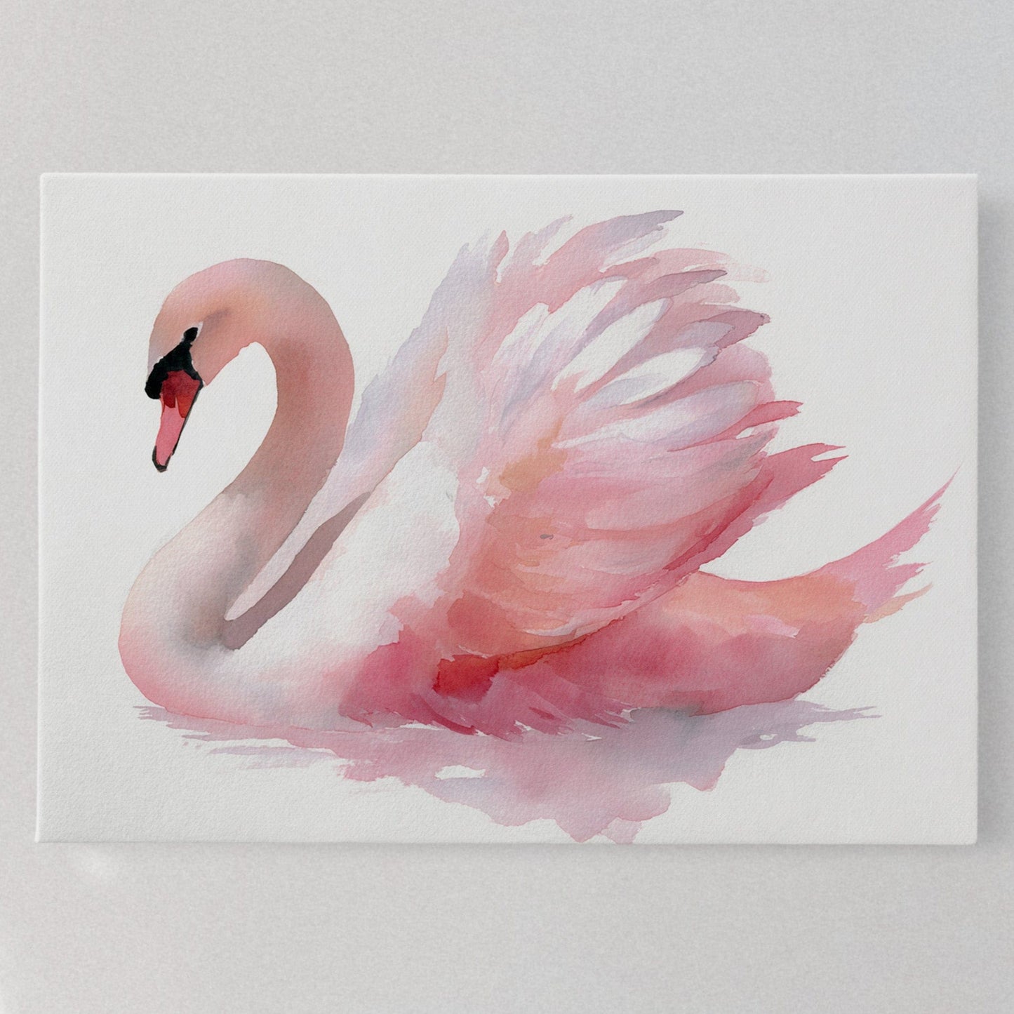 Pink Grace Drifts At Dawn