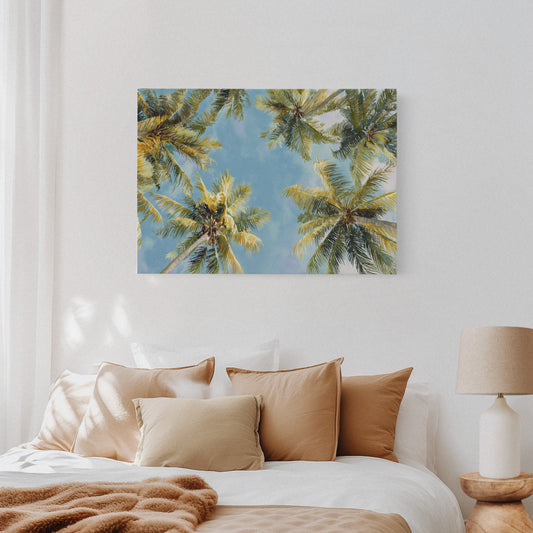 Summer Breeze Lifts Palm Stories