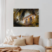 Golden Shutters Behind Palm Veils