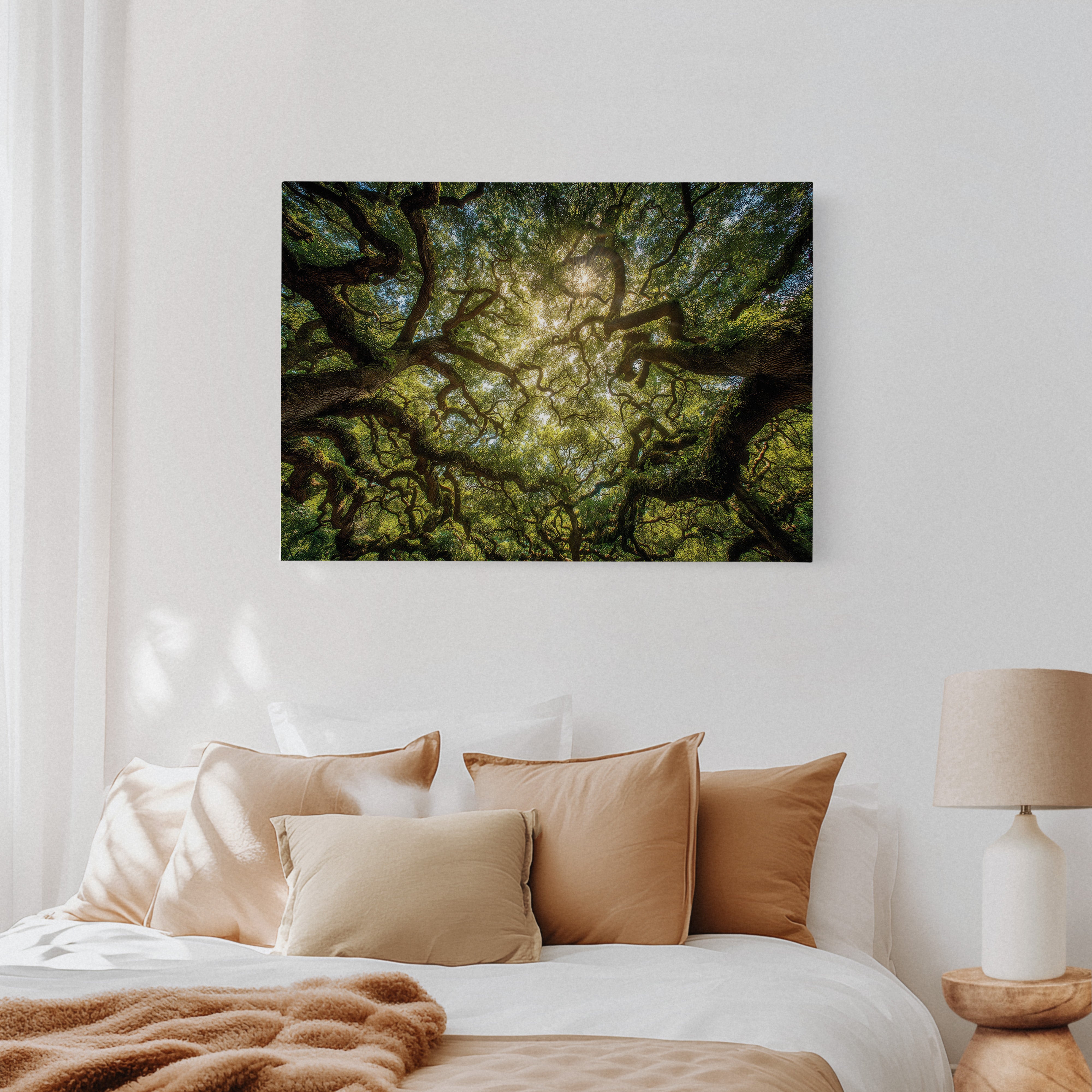 Ancient Oaks Weave Summer Light