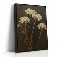 Queen Annes Lace in Late Autumn Light