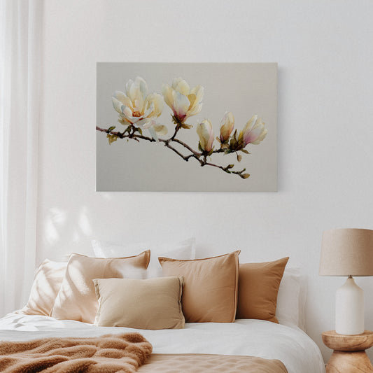 Magnolias Paint Their Morning Song