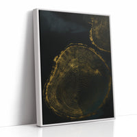Shadow Rings in Gold
