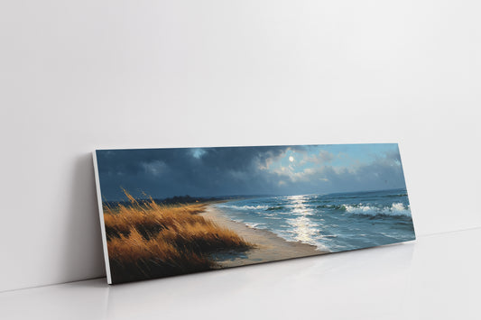 Moonlight Along the Storm Coast