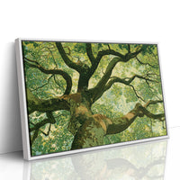Beneath the Emerald Canopy