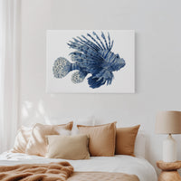 Ocean's Indigo Dancer Takes Flight