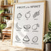 Sweet Virtues Grow In Garden Light