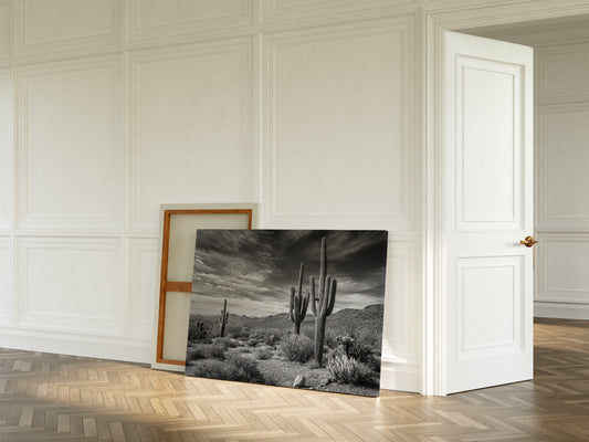 Tall Tales From Sonoran Skies