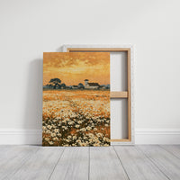 Daisy Fields at Golden Hour