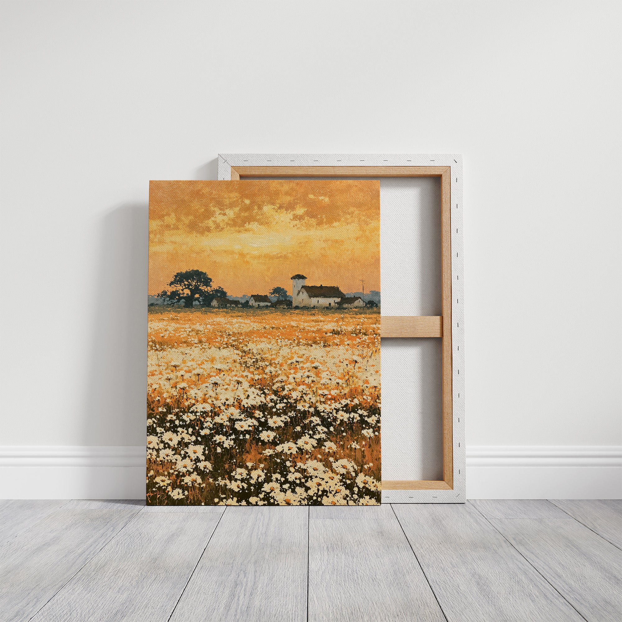 Daisy Fields at Golden Hour