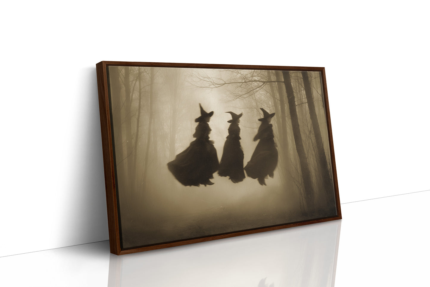 Witches Gather In Misty Woods