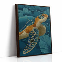 Turtle Among Coral Fans