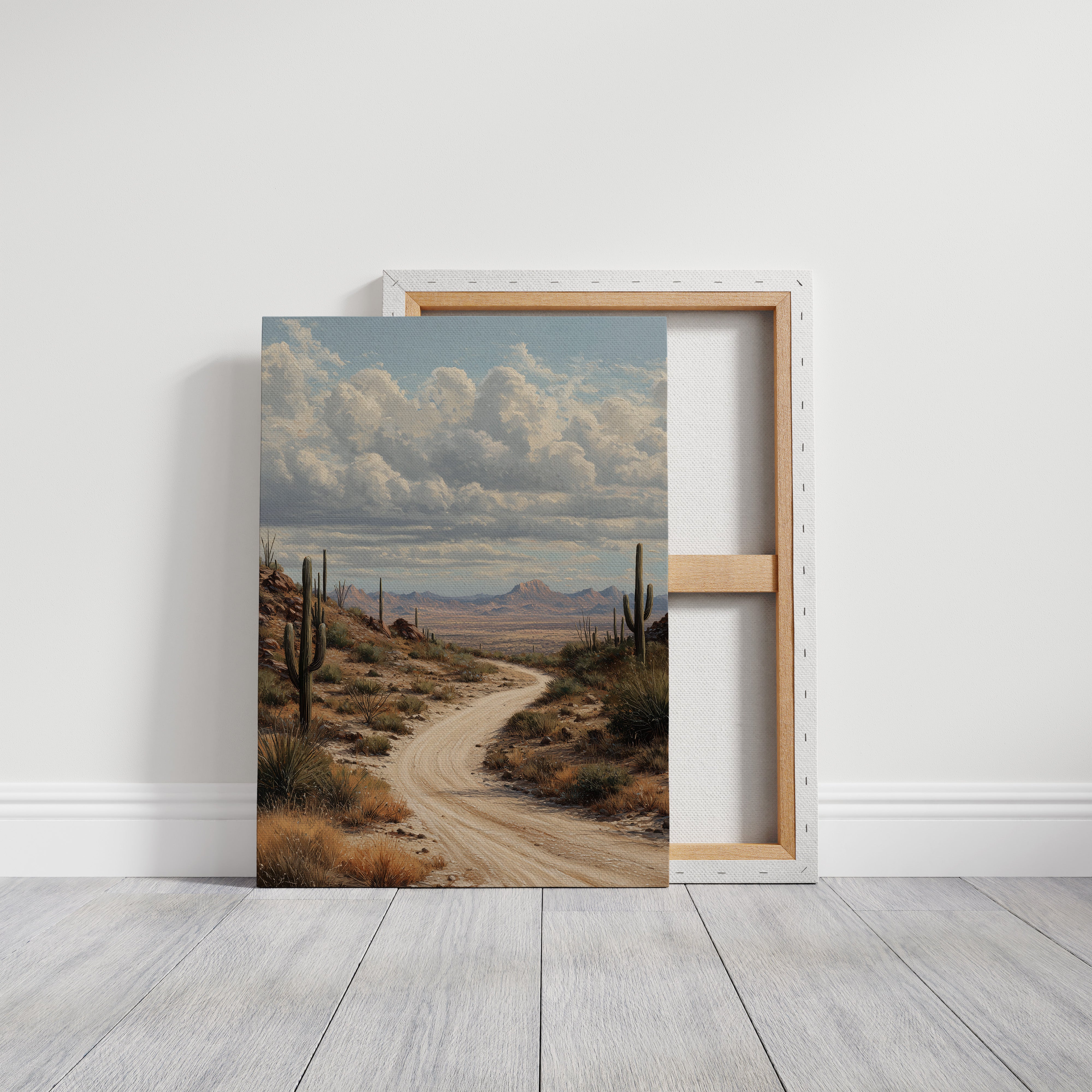 Winding Path Through Sonoran Majesty