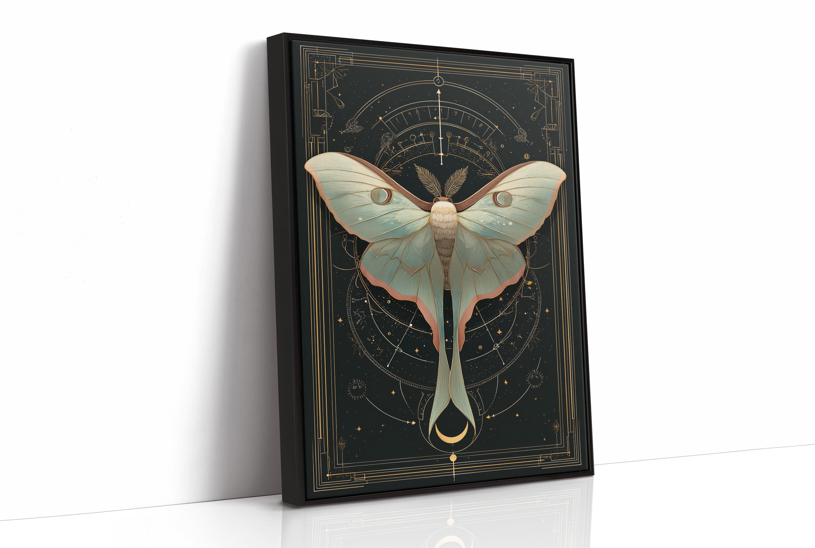 Luna Moth Under Golden Stars
