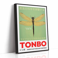 Tonbo – The Science of Dragonflies