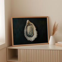Pearls Deep In Coastal Waters