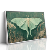 Luna Moth Among Wild Grasses