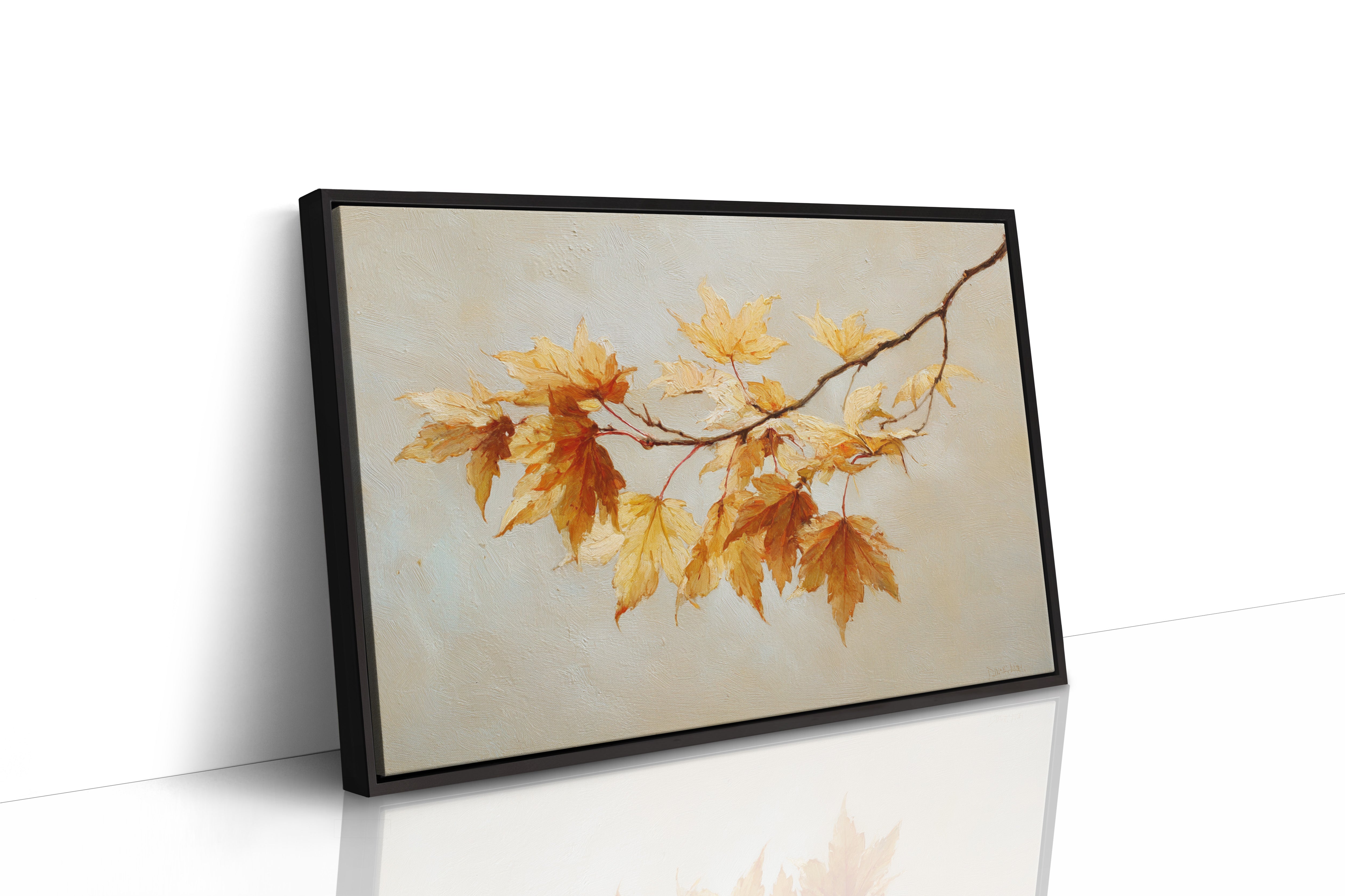Maple Light Catches October's Glow