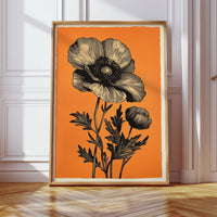 Poppies Cast Their Evening Stories