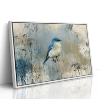 Bluebird Among Winter Grasses