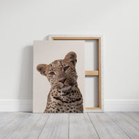 Leopard's Quiet Curiosity