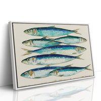 Catch of the Day, Sardine Study