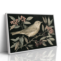 Cream Warbler in the Branches