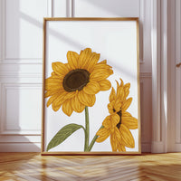 Golden Petals Greet Morning Sun