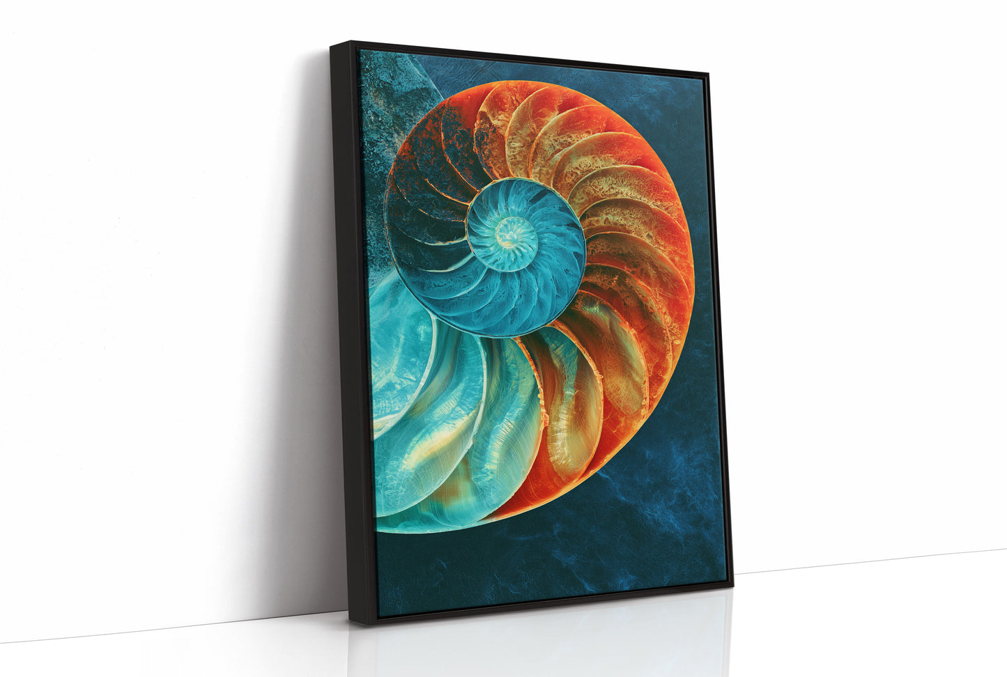 The Nautilus Divide