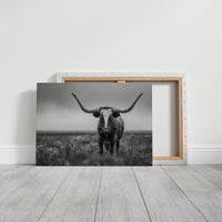 King of the Prairie