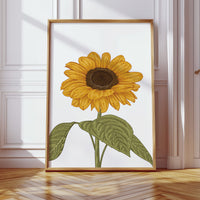 Golden Petals Sing Summer Songs