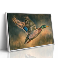 Mallard Takes Flight