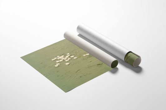 Pastoral Symphony in Sage and Ivory