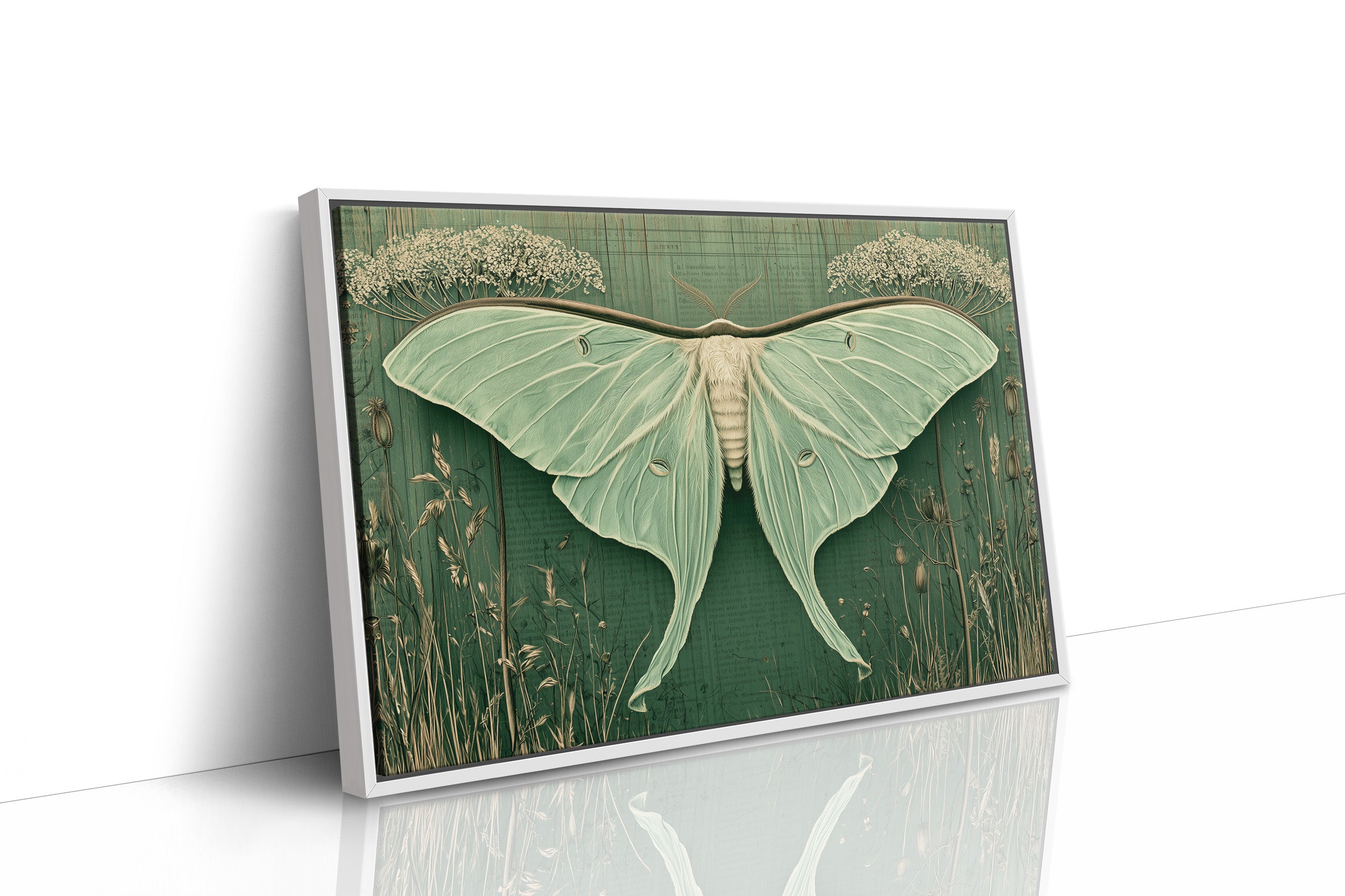 Luna Moth Ephemera